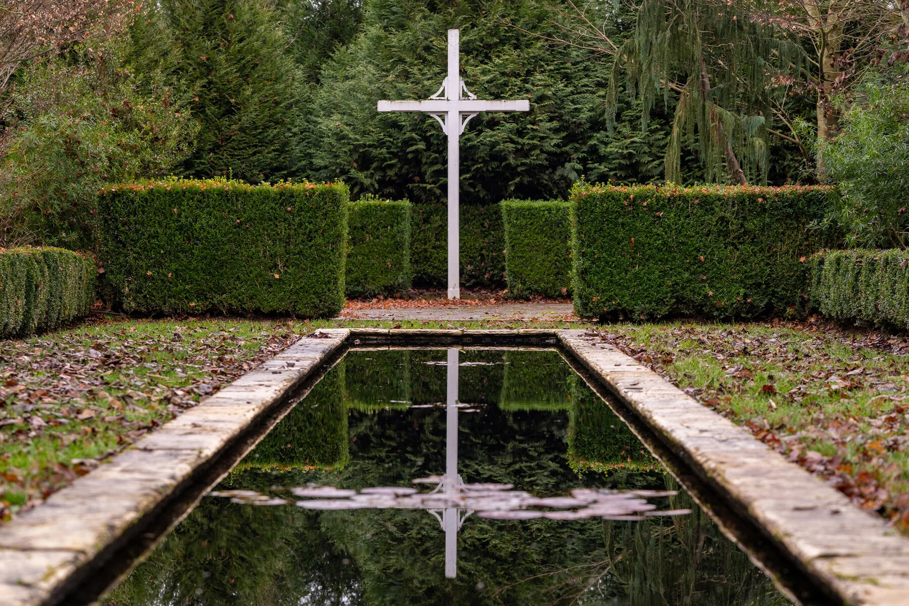 Portland Hillsboro Oregon Oakwood Gardens Winter2019