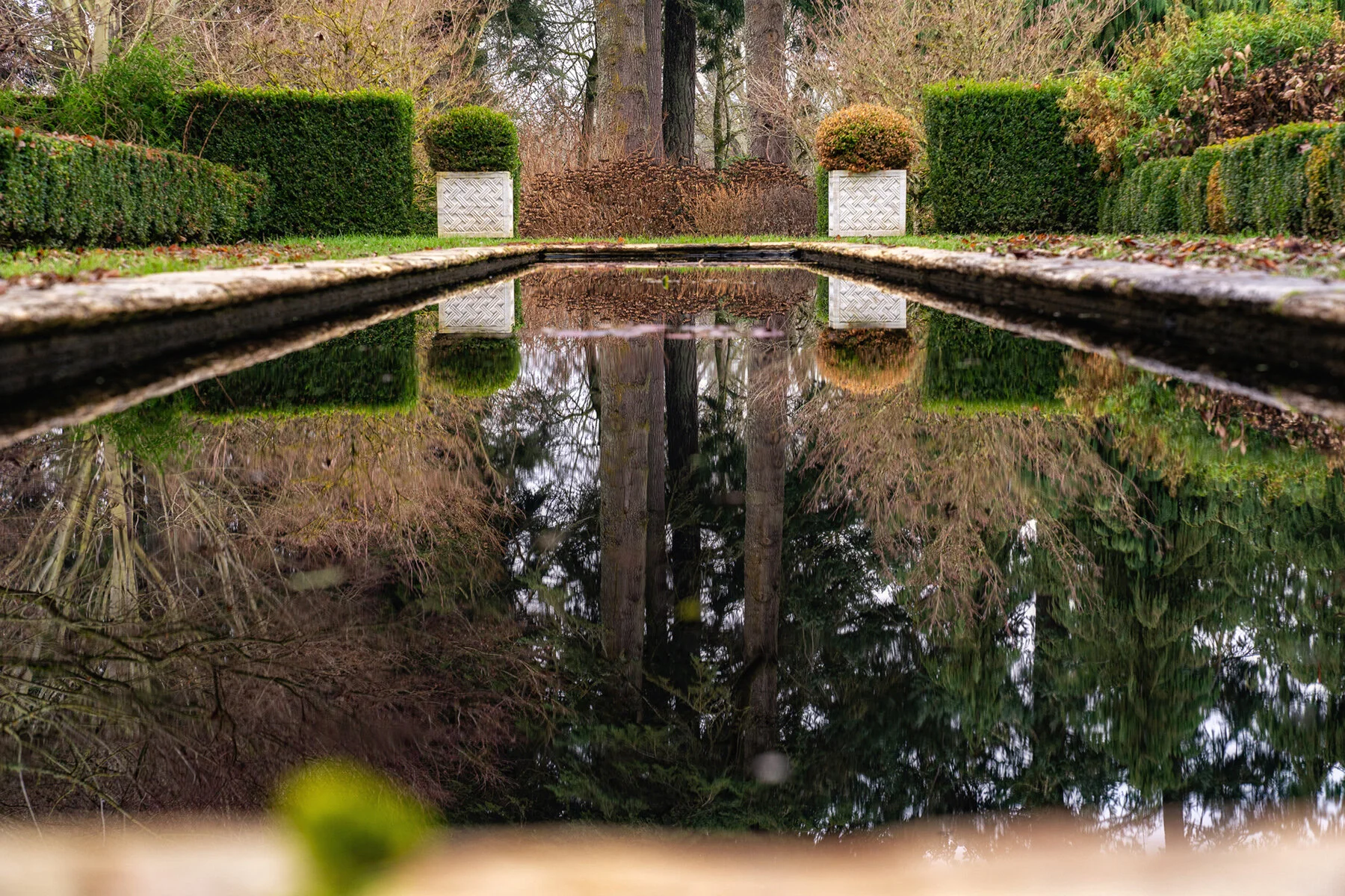 Portland Hillsboro Oregon Oakwood Gardens Winter2019