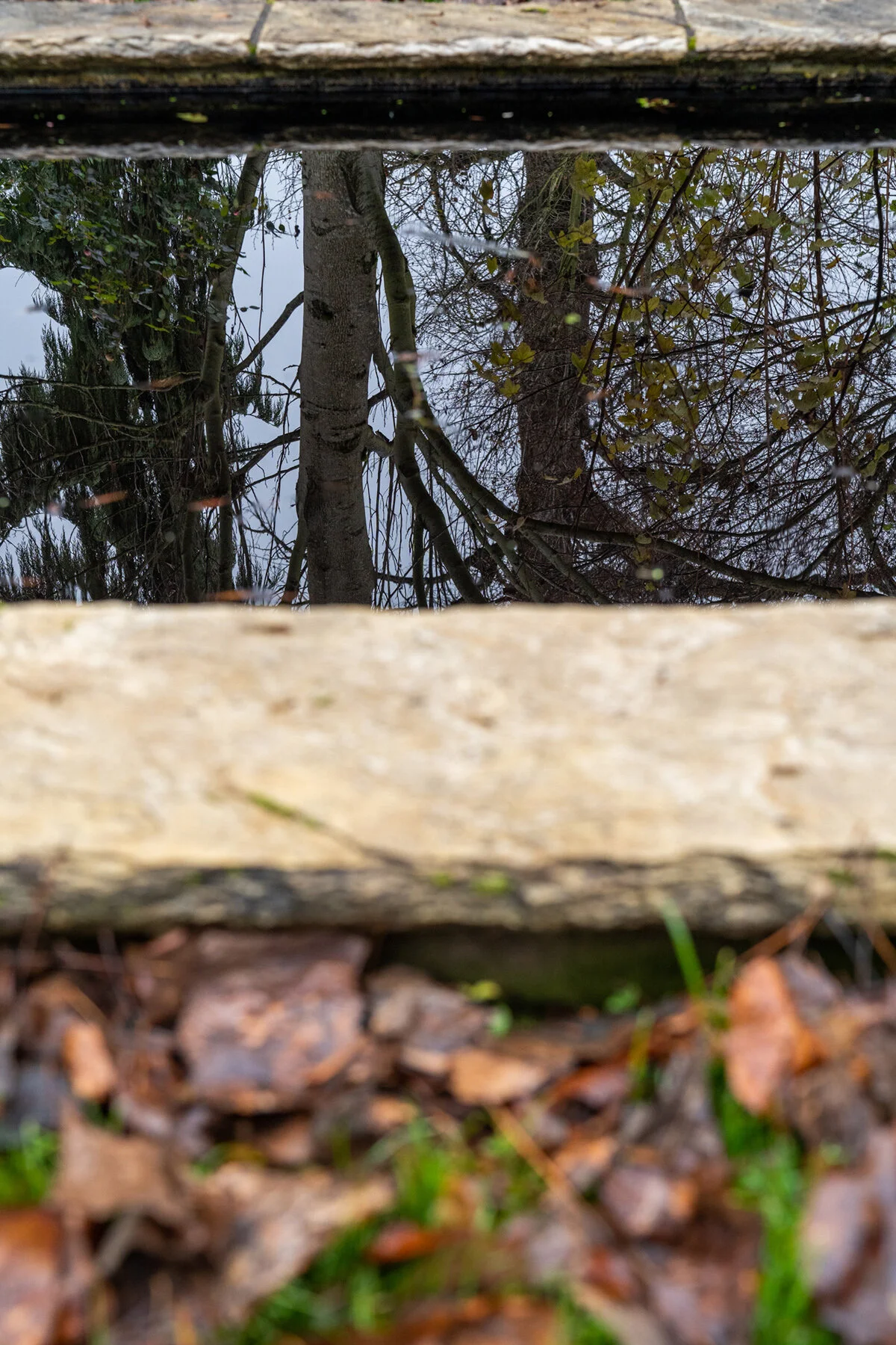 Portland Hillsboro Oregon Oakwood Gardens Winter2019