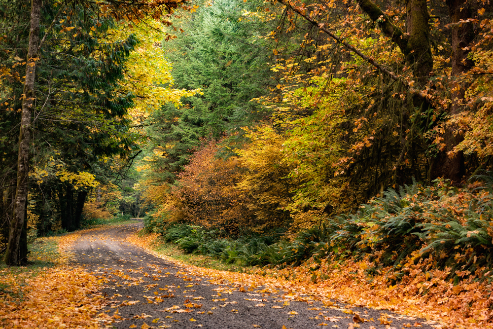 Portland Oregon