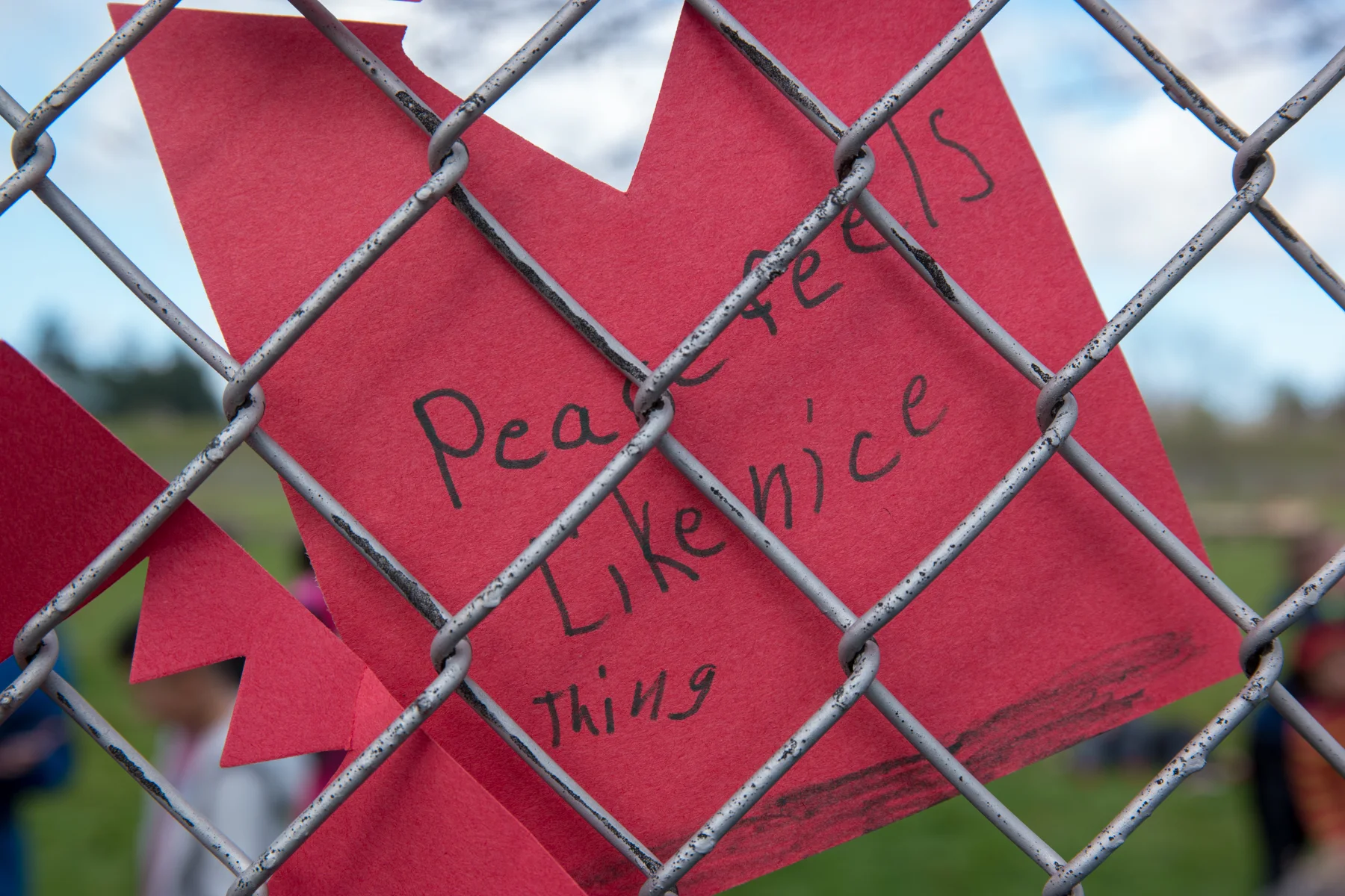 Portland Oregon Gun Voilence Walk Out