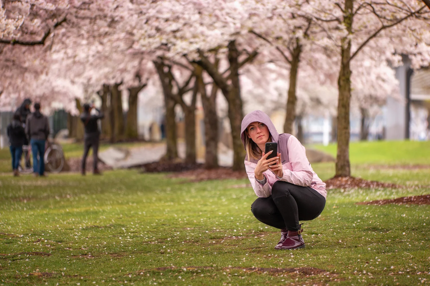 Portland Oregon Spring Tom Mc Call Waterfront