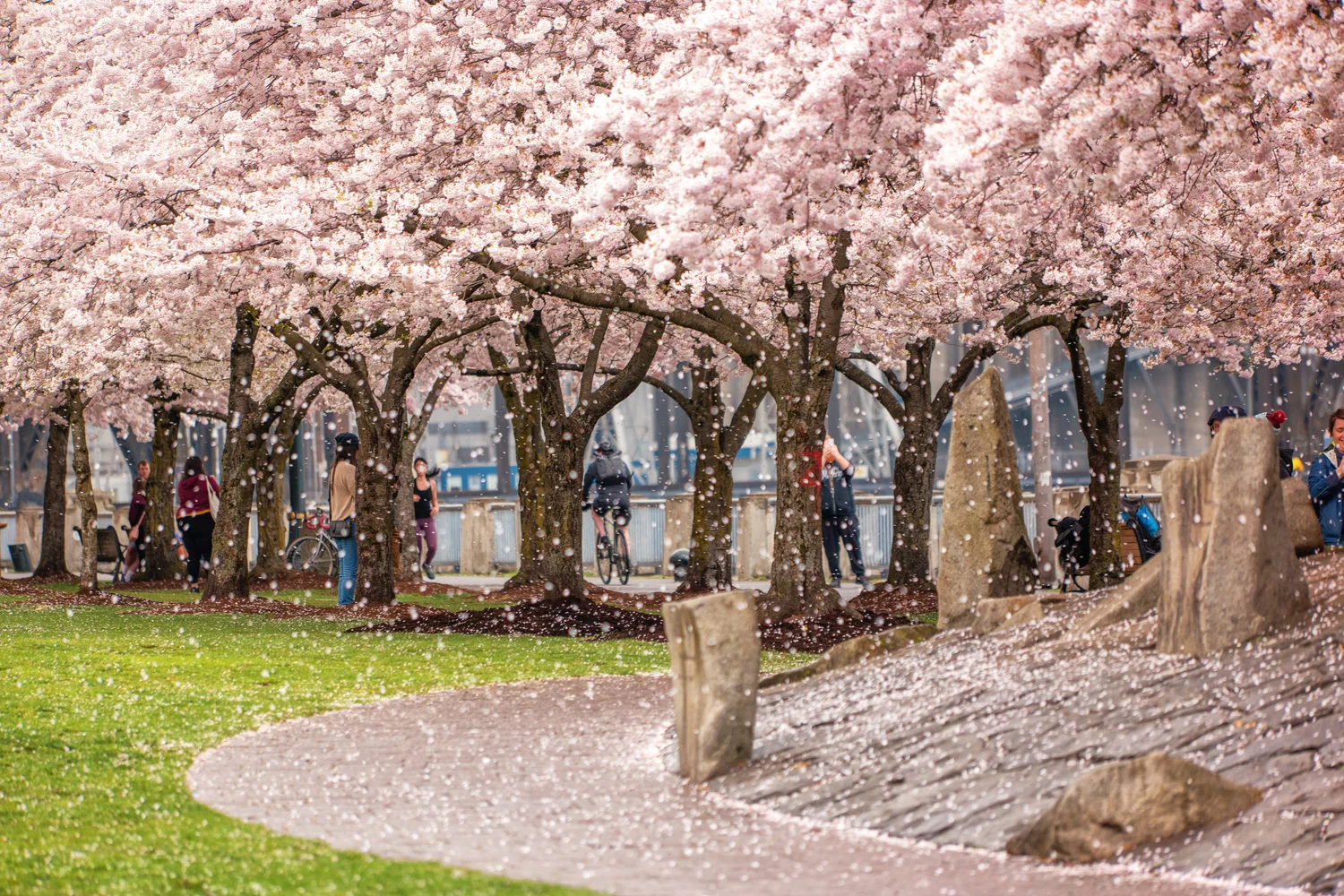 Portland Oregon Spring Tom Mc Call Waterfront