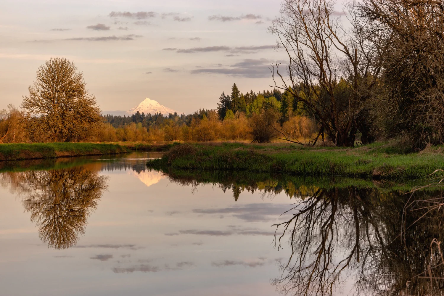 Salmon River Creek Vancouver Washington