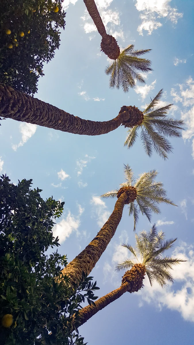 Samsung Galaxy Note5 Palm Desert California