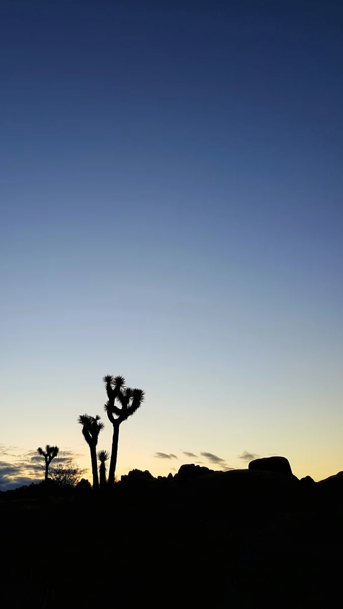 Samsung Galaxy Note5 Palm Desert California