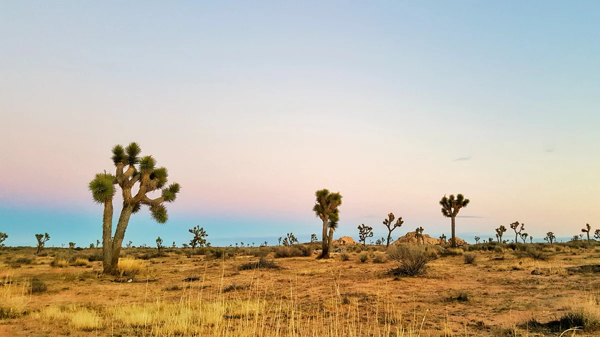 Samsung Galaxy Note5 Palm Desert California