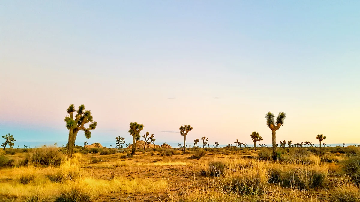 Samsung Galaxy Note5 Palm Desert California