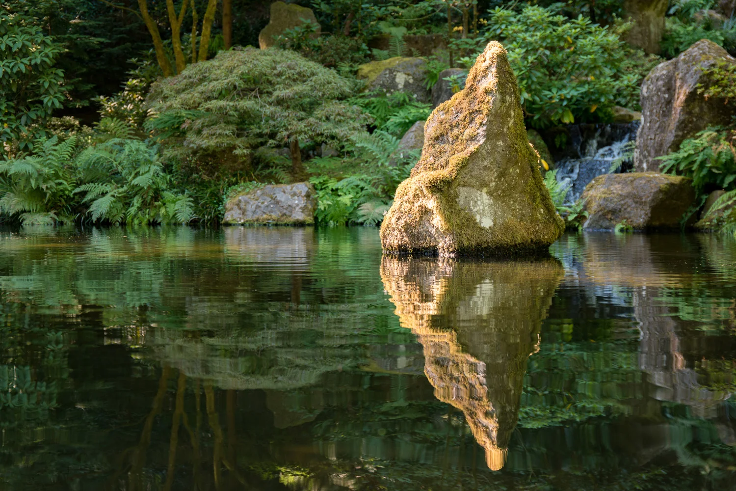 Samsung NX1 Japanese Garden Portland Oregon