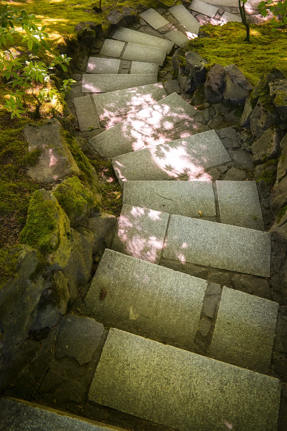 Samsung NX1 Japanese Garden Portland Oregon