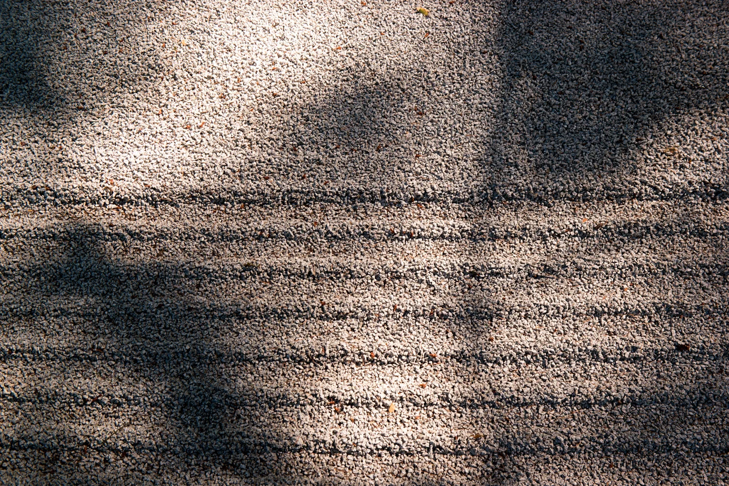 Samsung NX1 Japanese Garden Portland Oregon