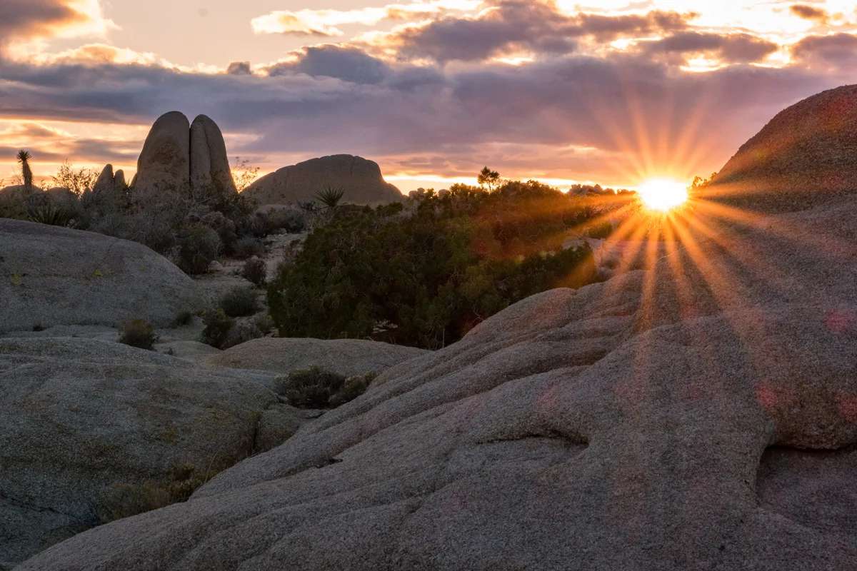 Samsung NX1 Joshua Tree National Park California