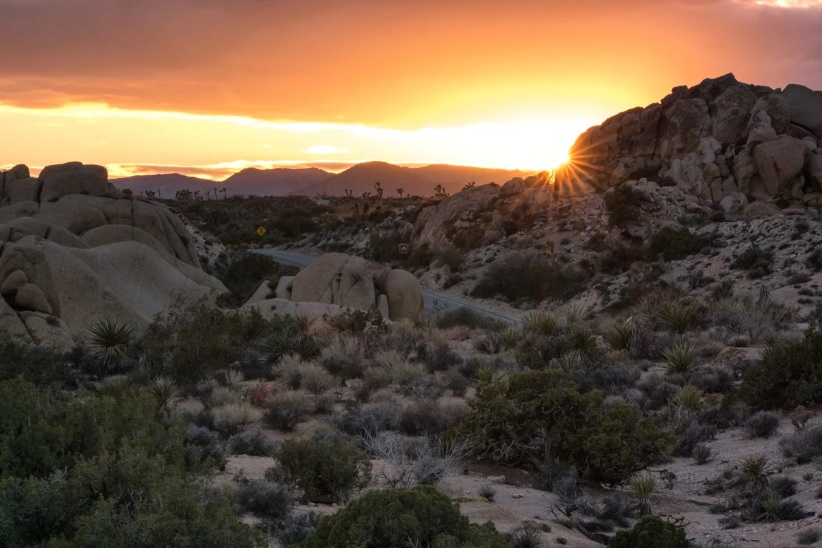 Samsung NX1 Joshua Tree National Park California