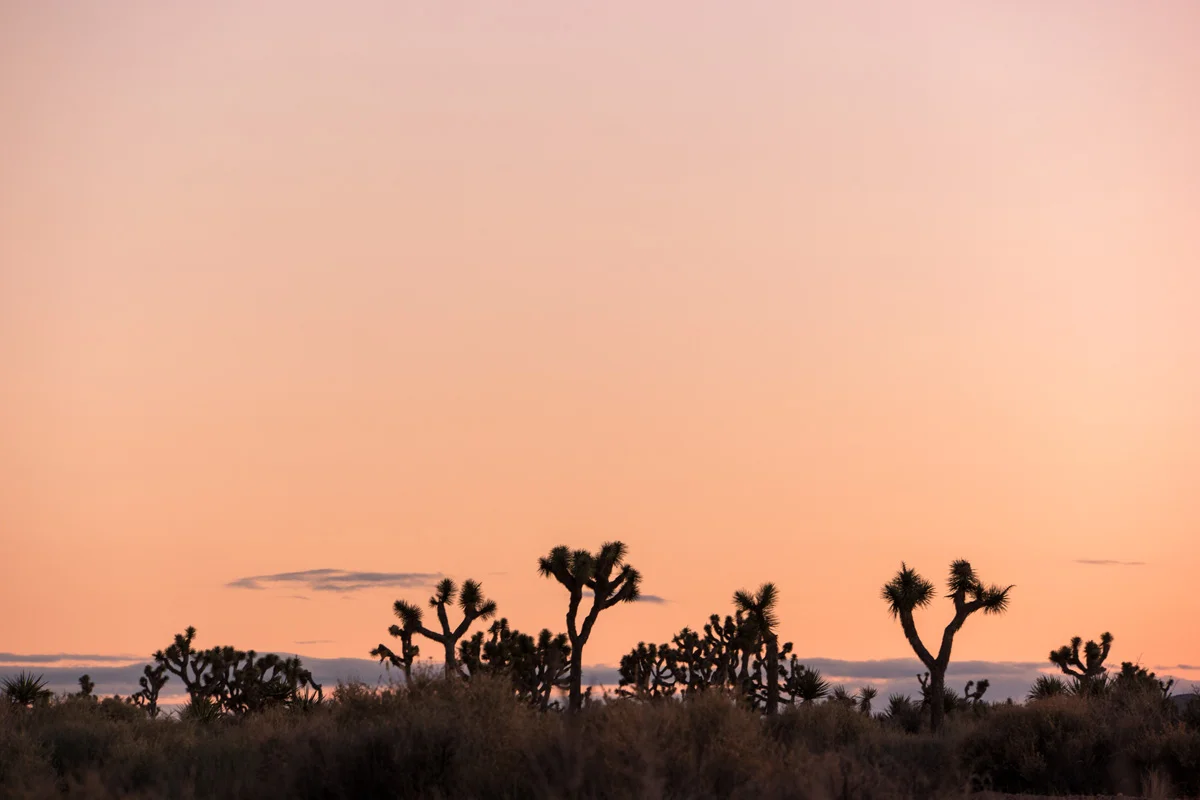 Samsung NX1 Joshua Tree National Park California