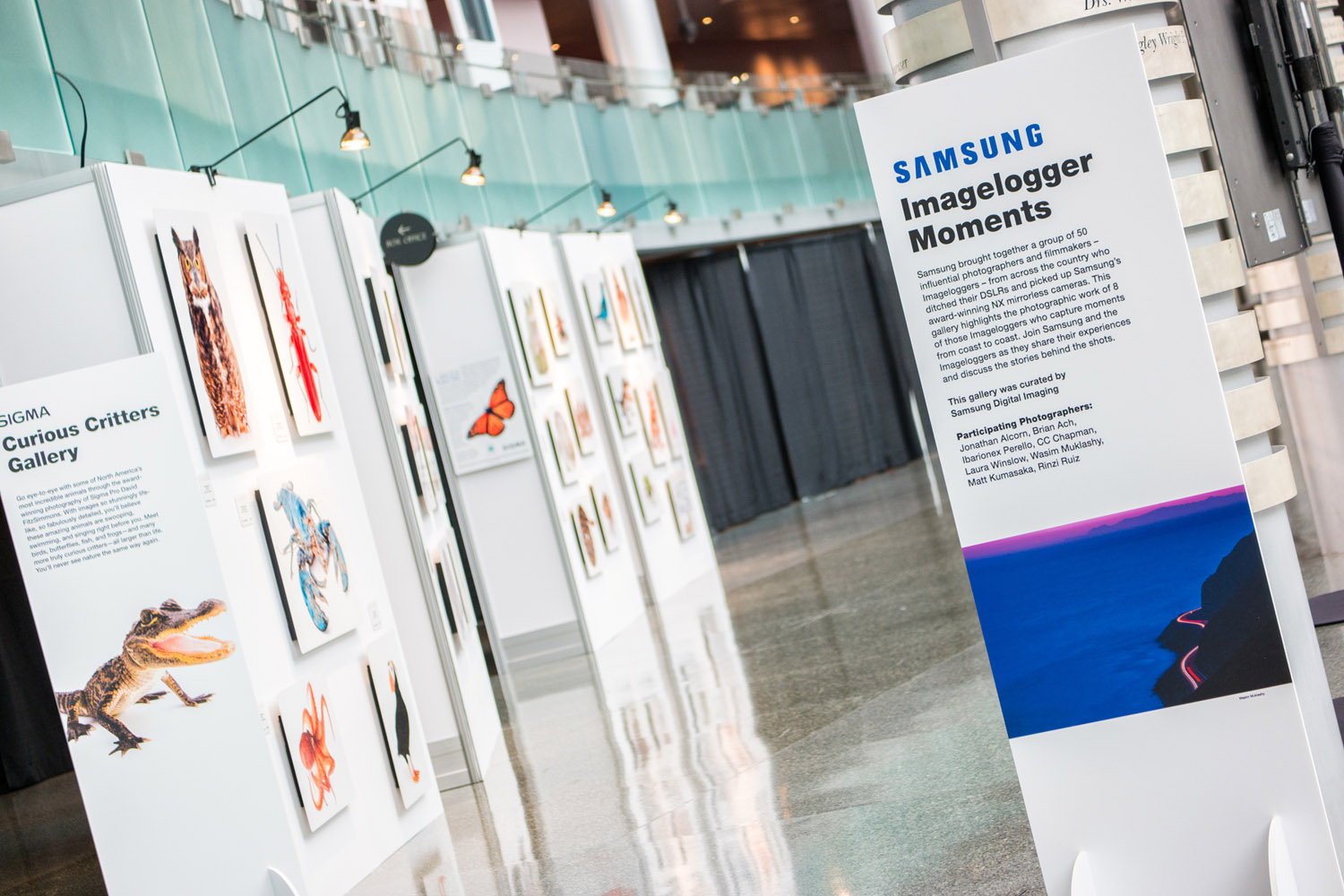 Samsung NX1 PIX2015 Seattle Washington