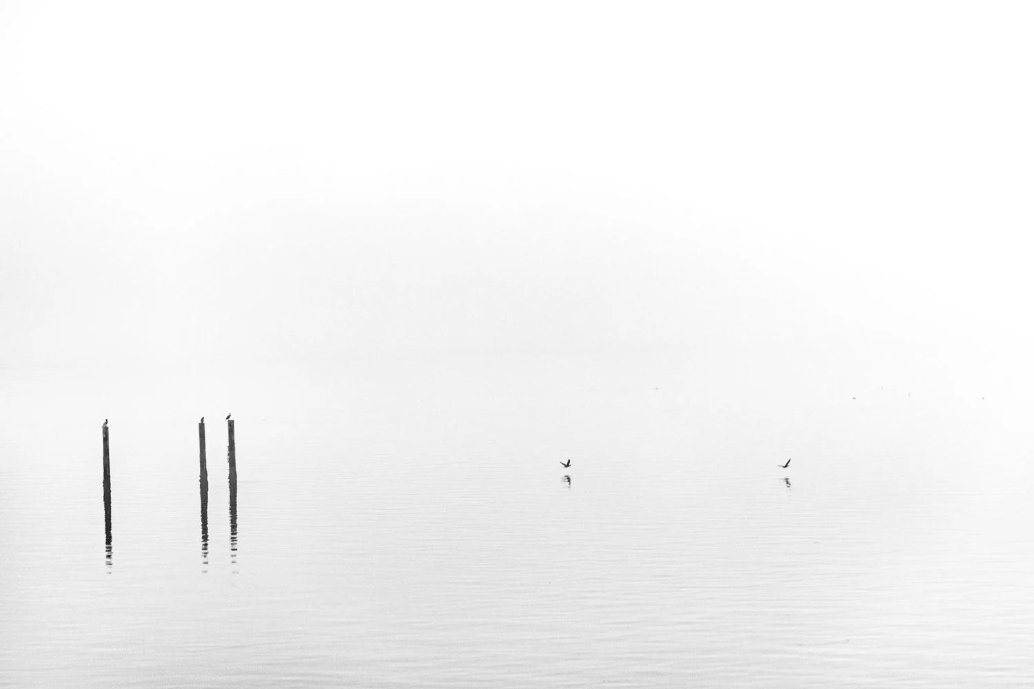 Samsung NX1 PIX2015 Tacoma Washington