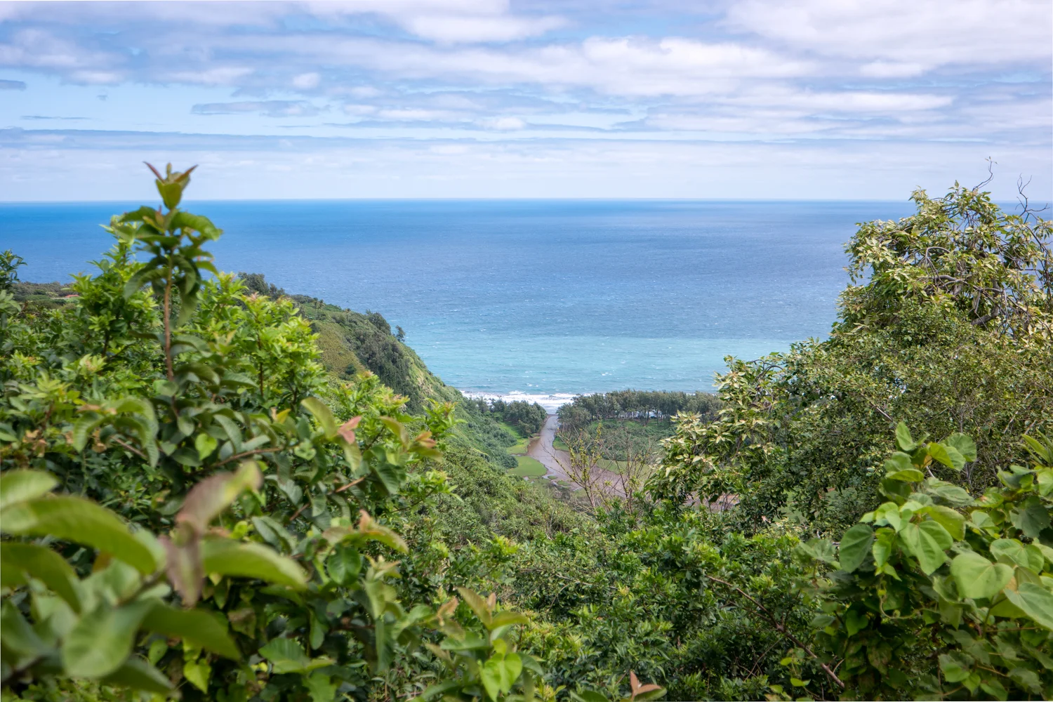 Samsung NX500 50mm S Hawaii 1500px
