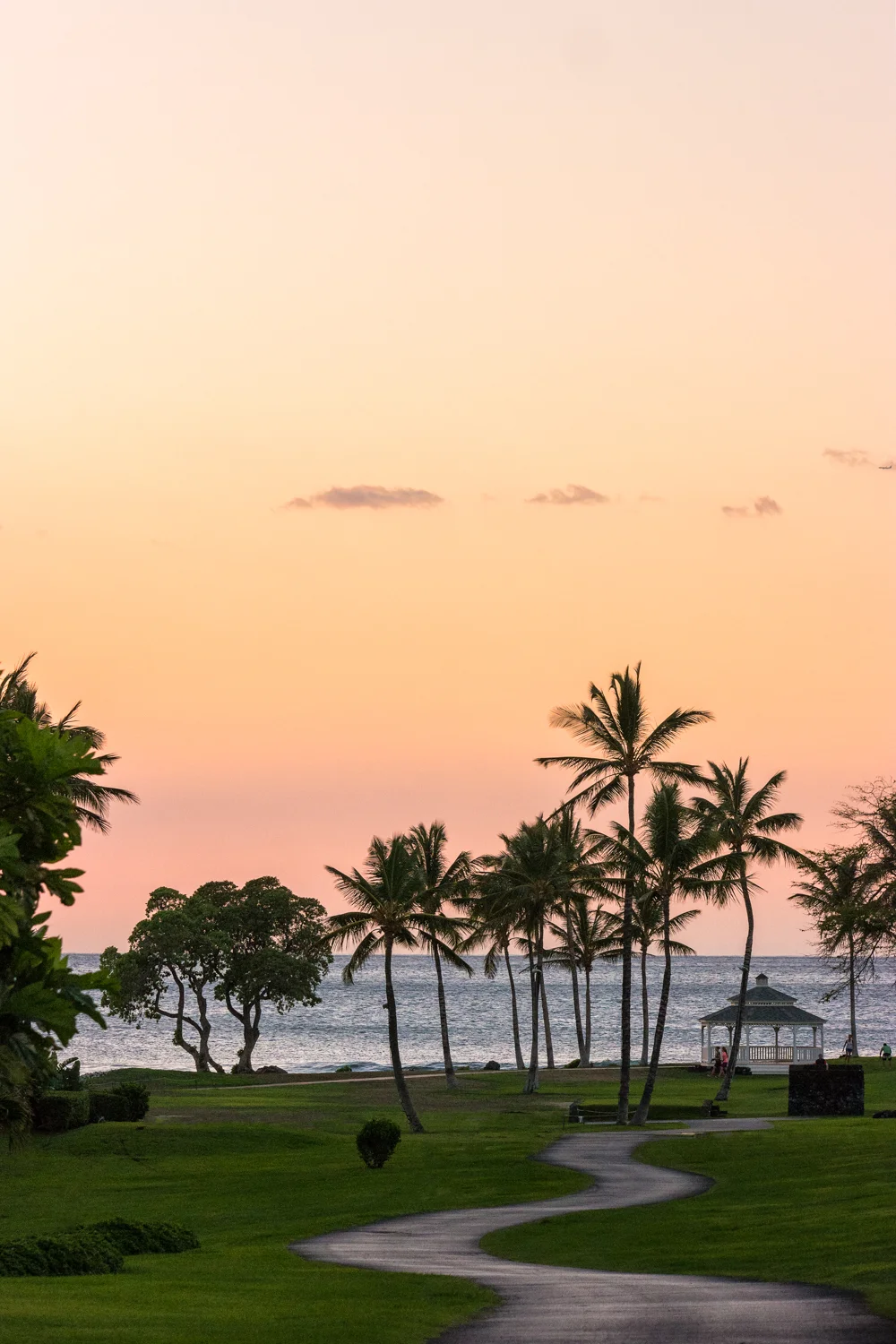 Samsung NX500 50mm S Hawaii 1500px