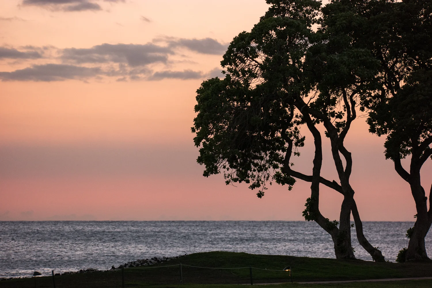 Samsung NX500 50mm S Hawaii 1500px