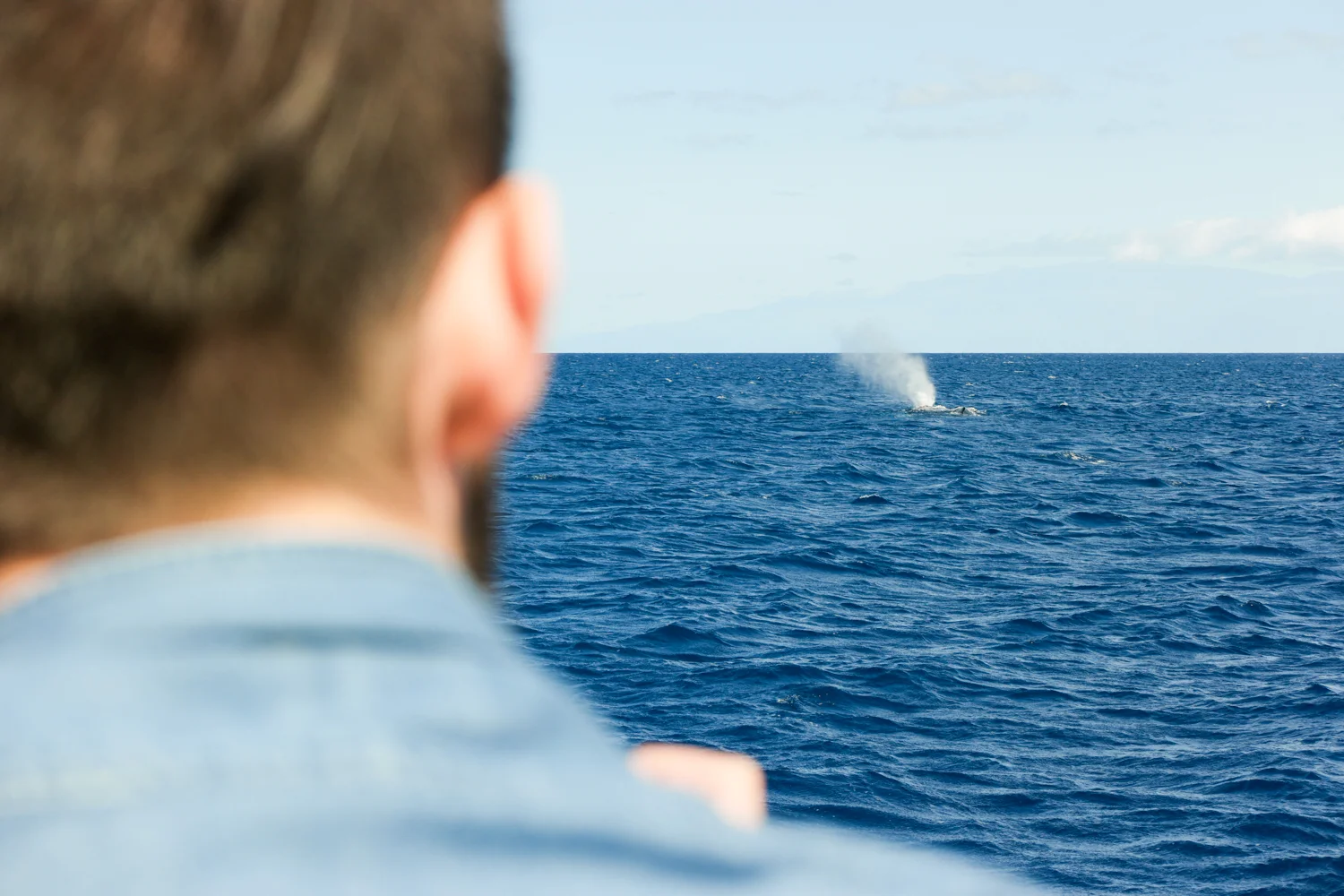 Samsung NX500 50mm S Hawaii 1500px