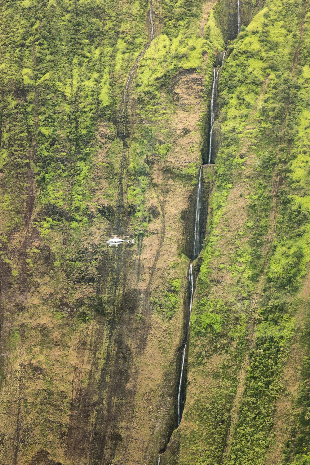 Samsung NX500 50mm S Hawaii 1500px