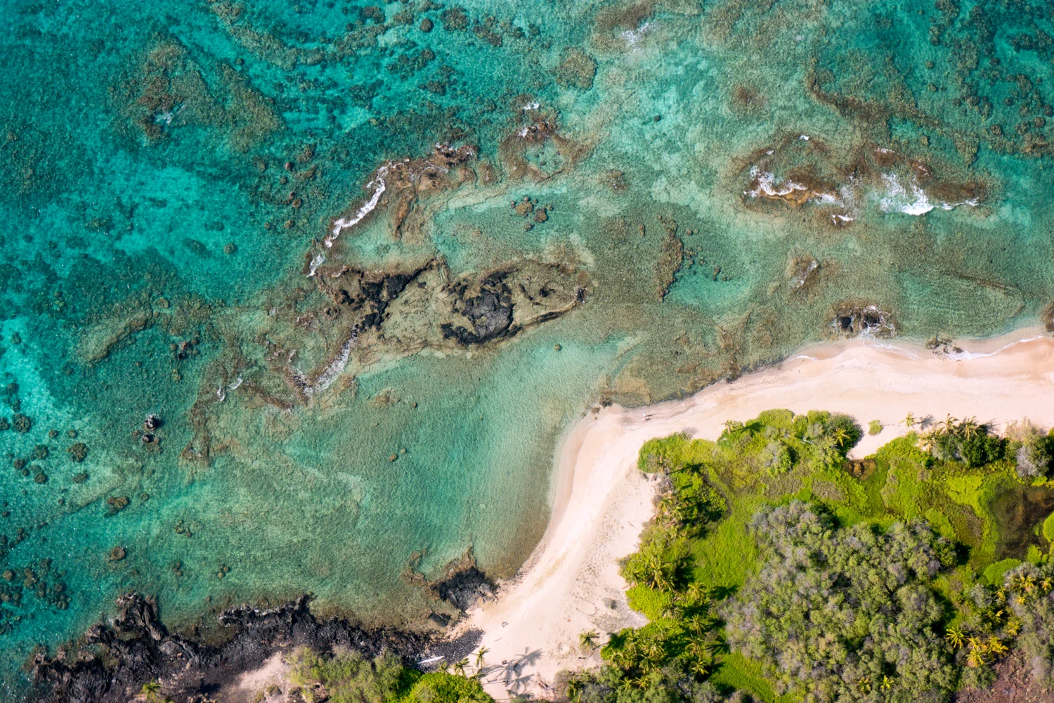 Samsung NX500 50mm S Hawaii 1500px