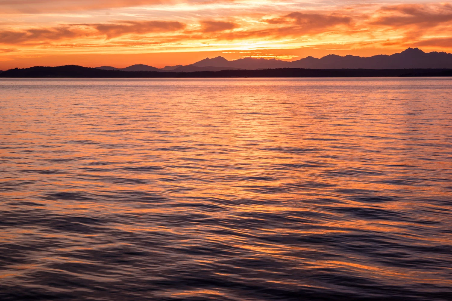 Samsung NX500 DPReview PIX2015 Seattle Washington