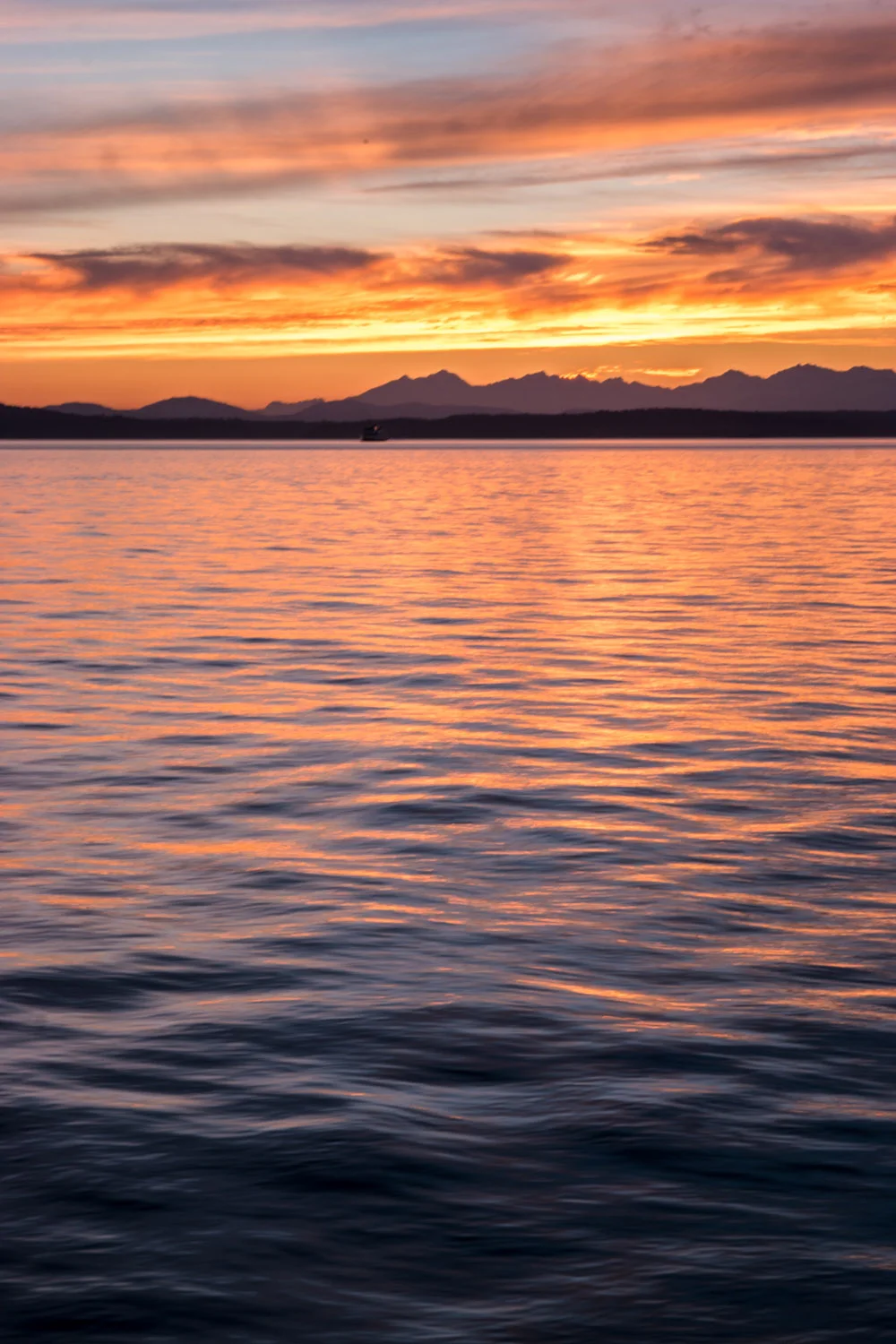 Samsung NX500 DPReview PIX2015 Seattle Washington