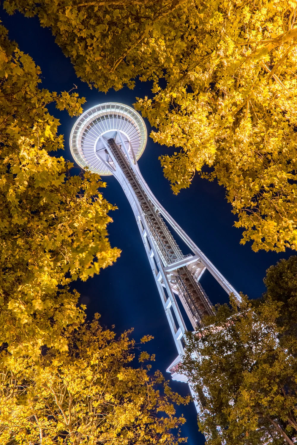 Samsung NX500 DPReview PIX2015 Space Needle Seattle Washington