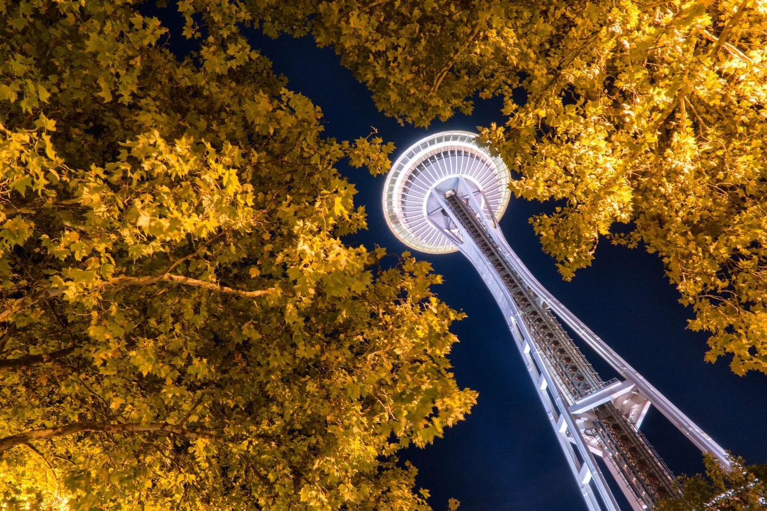 Samsung NX500 DPReview PIX2015 Space Needle Seattle Washington