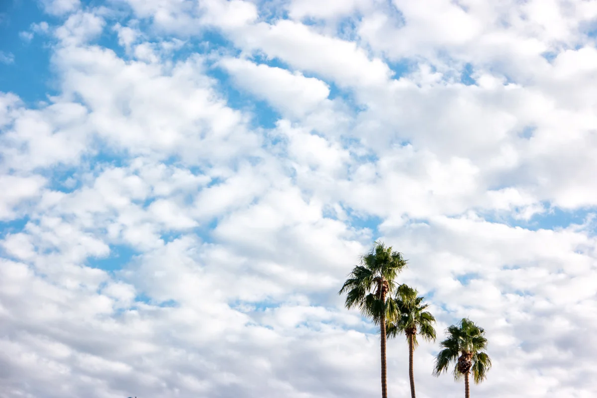 Samsung NX500 Palm Desert California