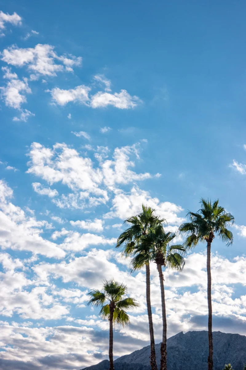 Samsung NX500 Palm Desert California