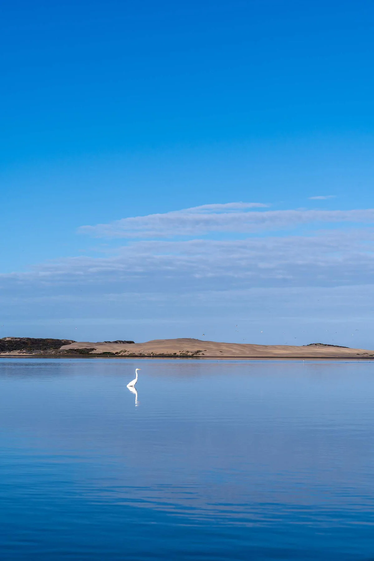 San Luis Obispo County California SLOCal