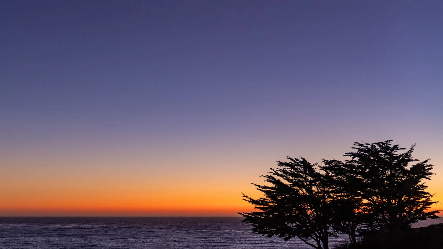 San Luis Obispo County California SLOCal