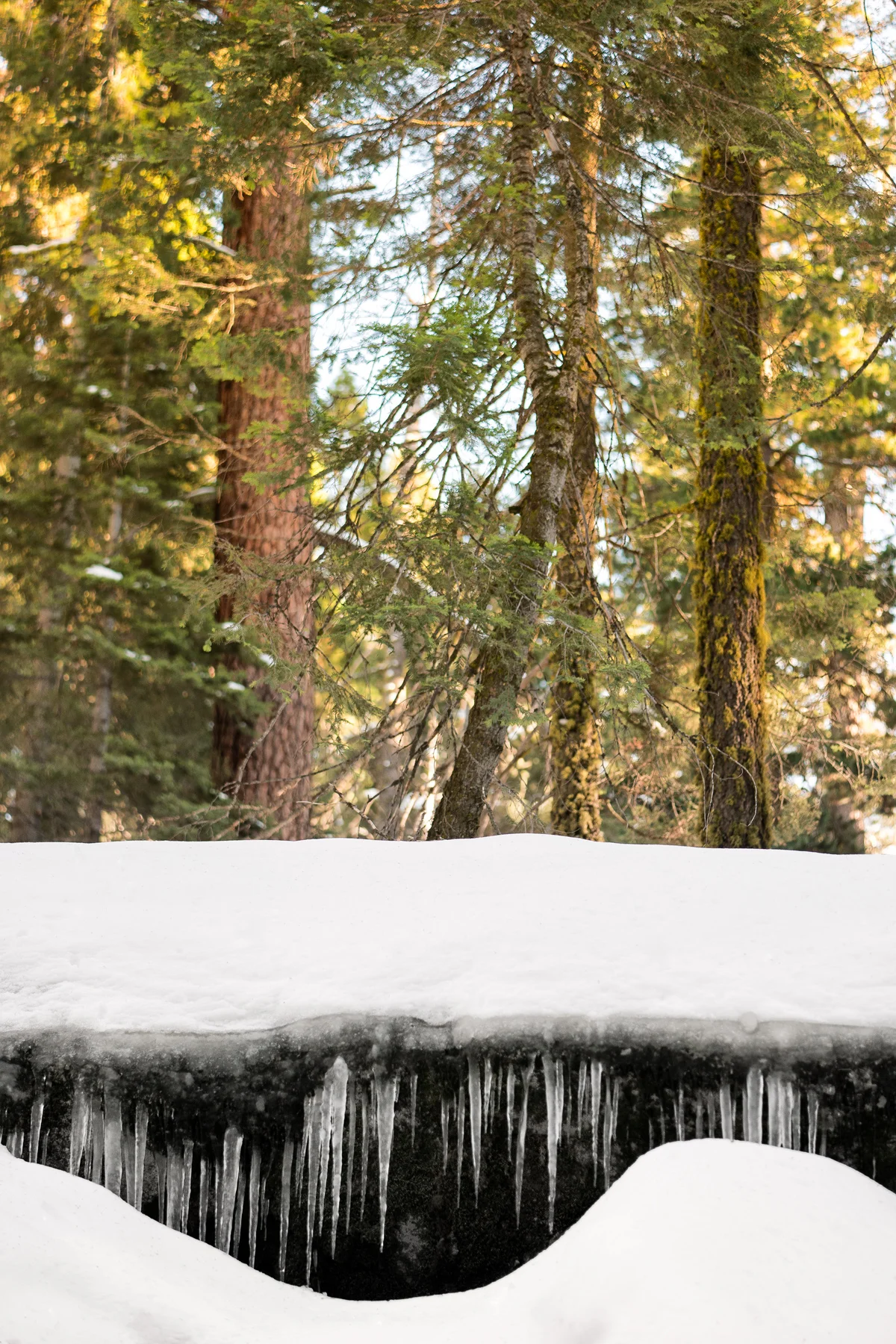 Sequoia National Park California December2015