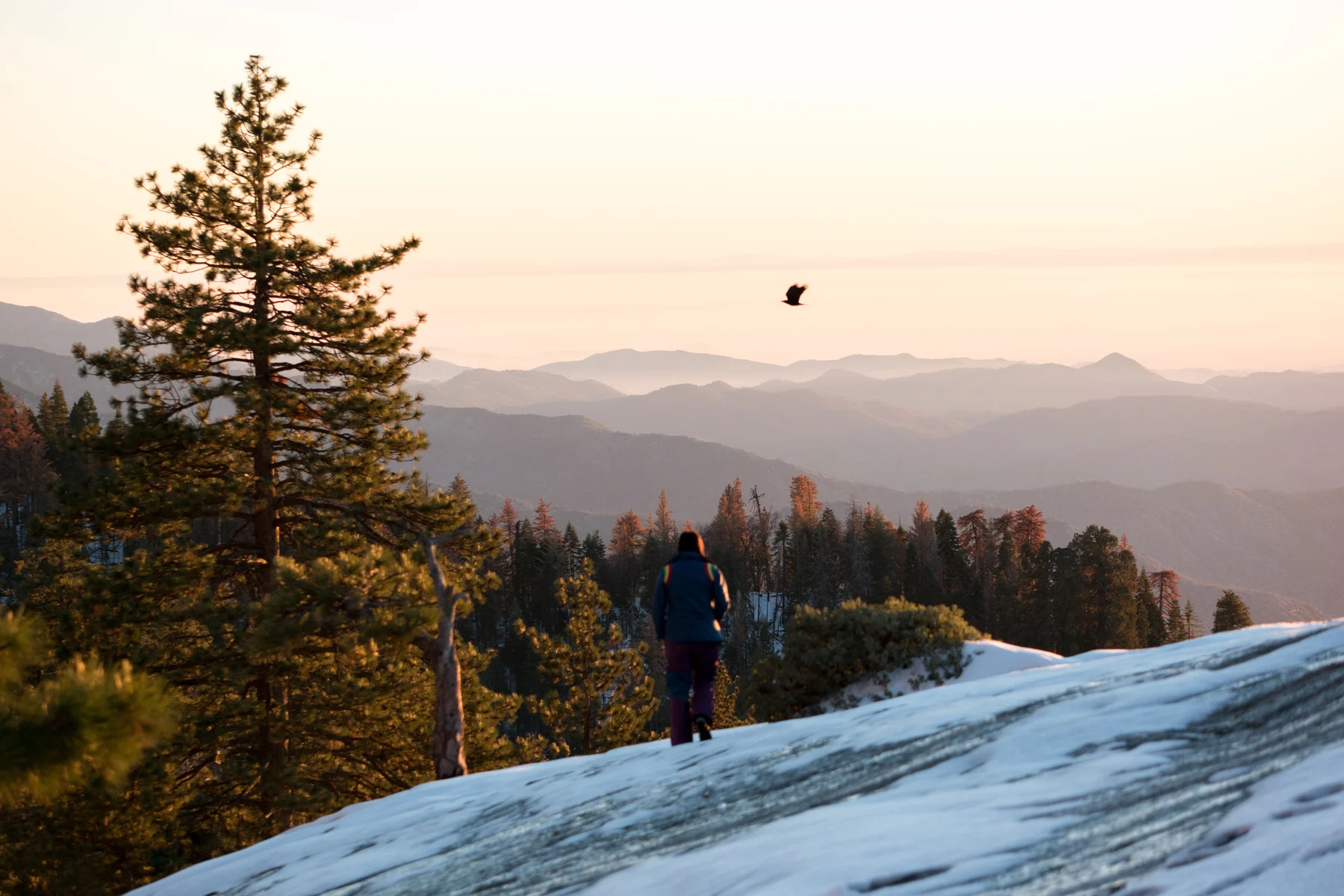 Sequoia National Park California December2015