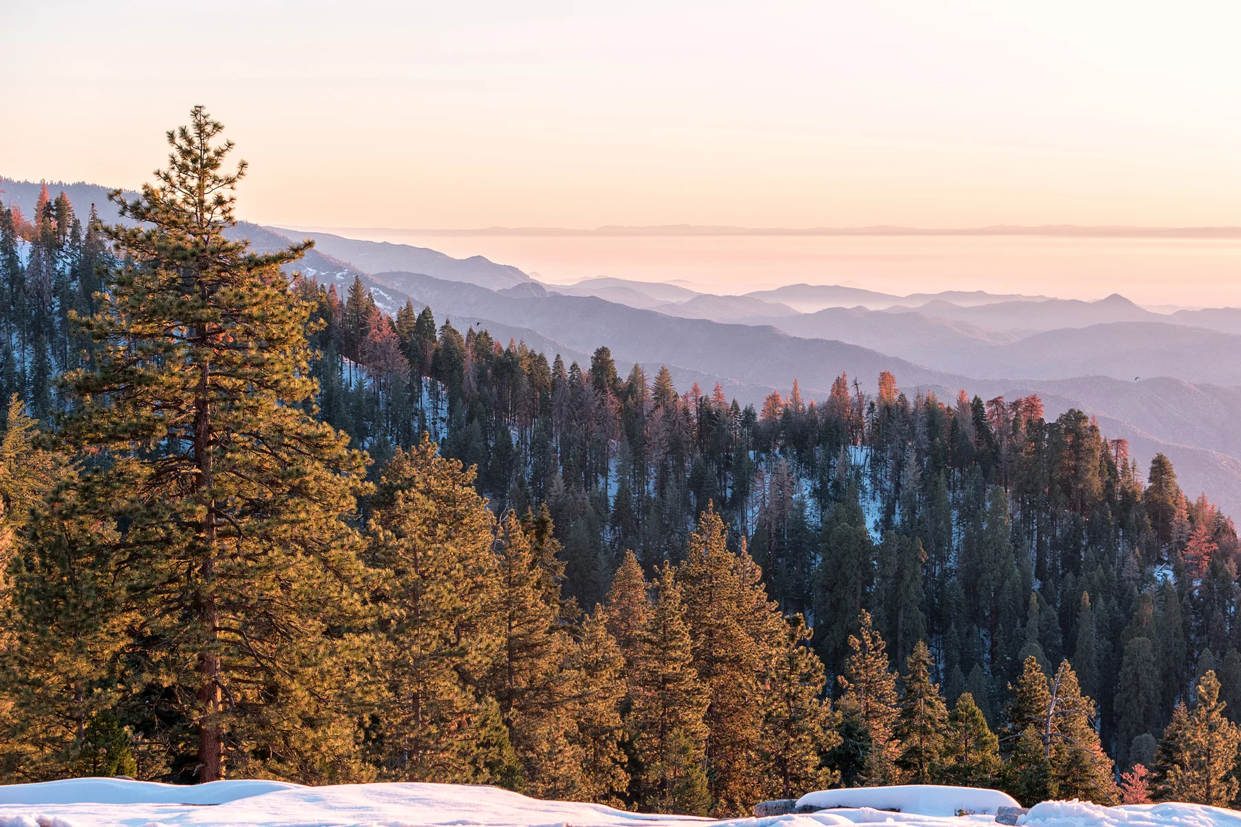 Sequoia National Park California December2015 crop1