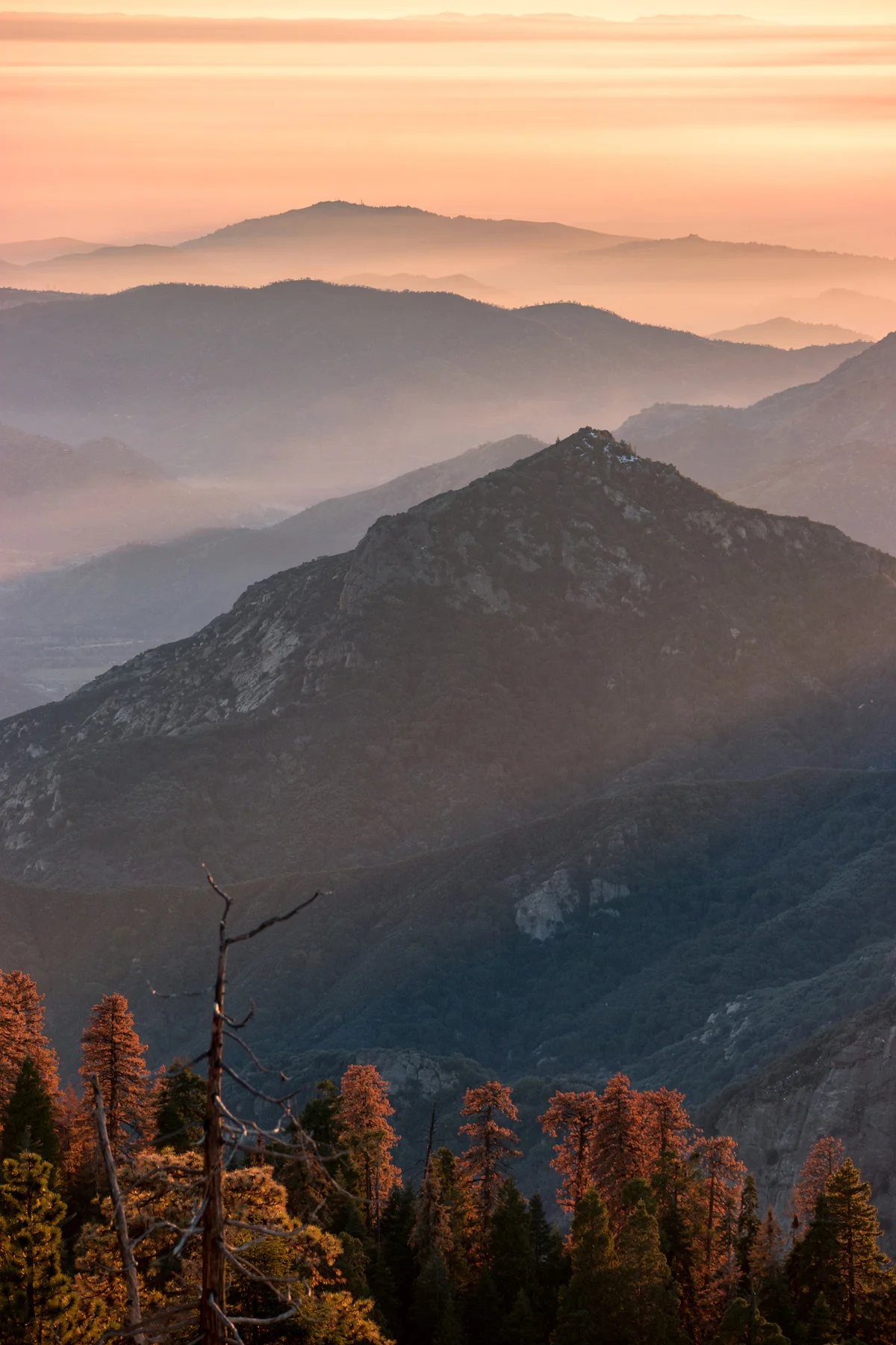 Sequoia National Park California December2015