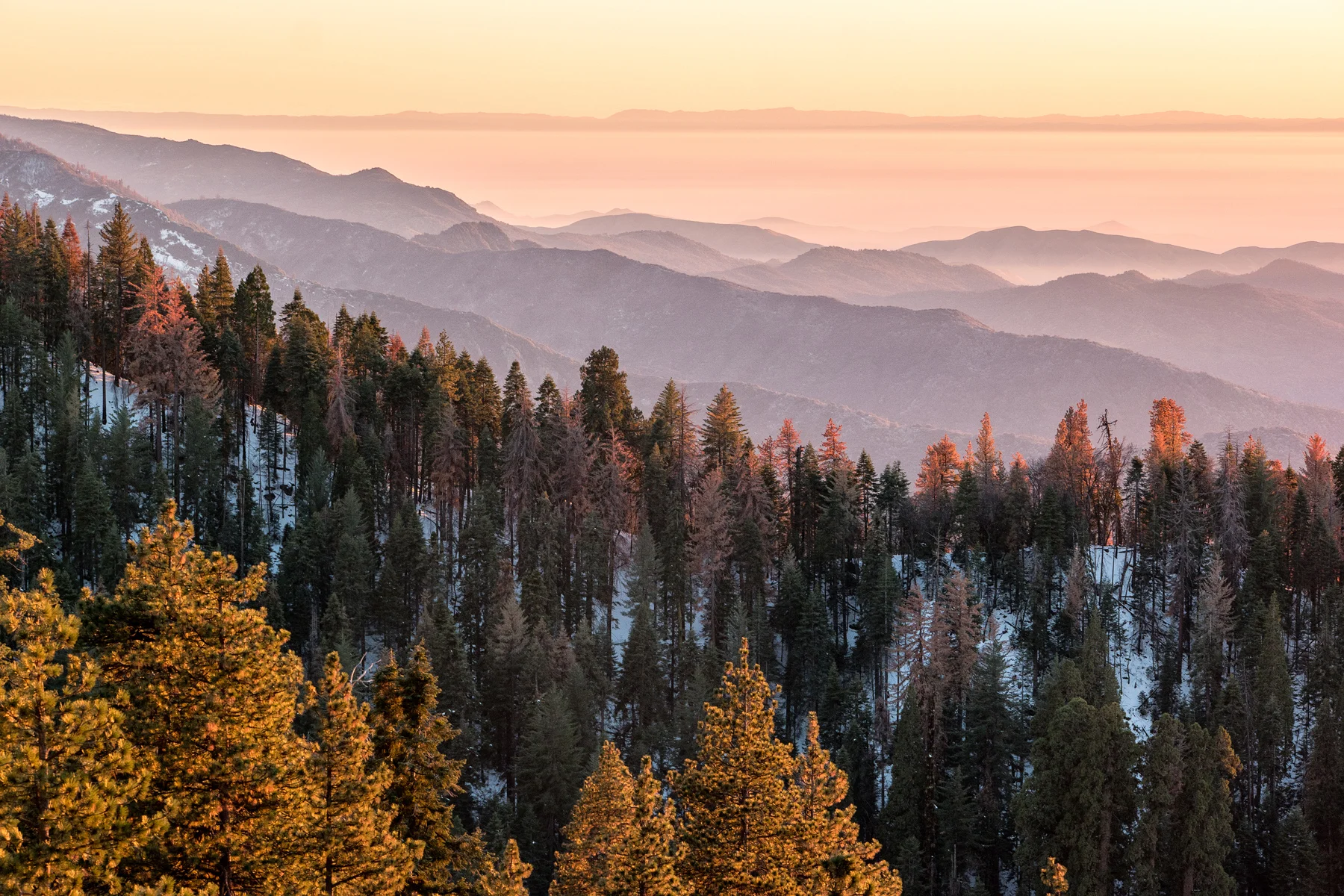 Sequoia National Park California December2015