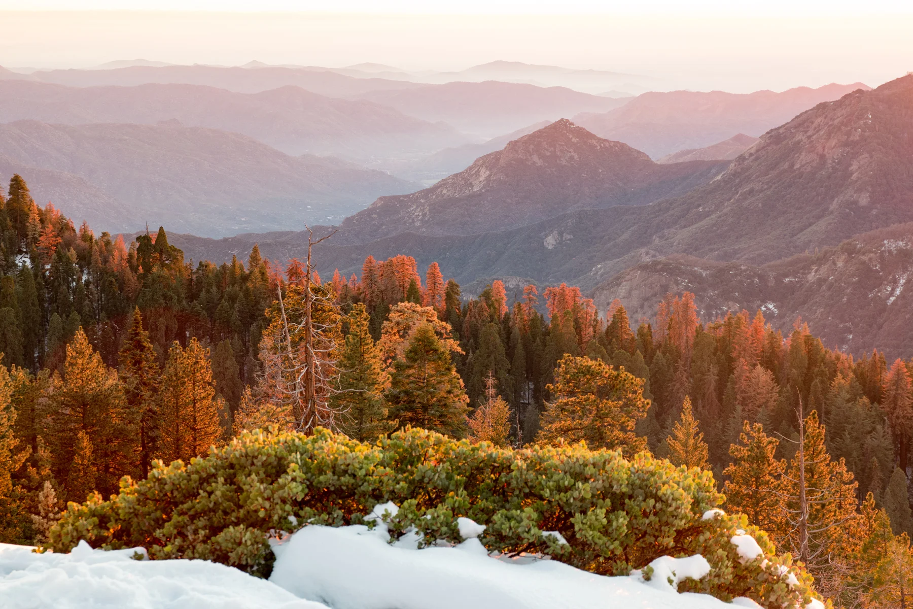 Sequoia National Park California December2015