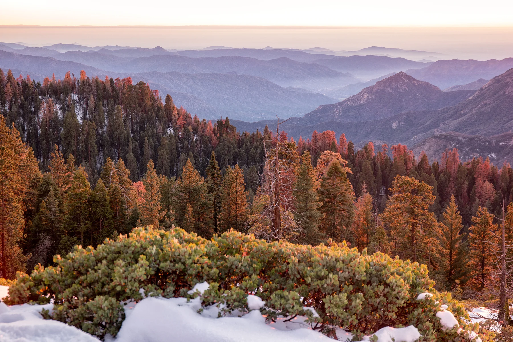 Sequoia National Park California December2015