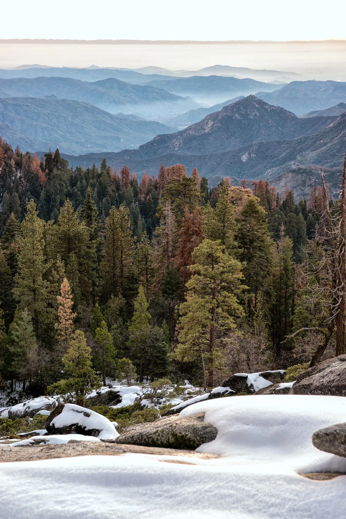 Sequoia National Park California December2015