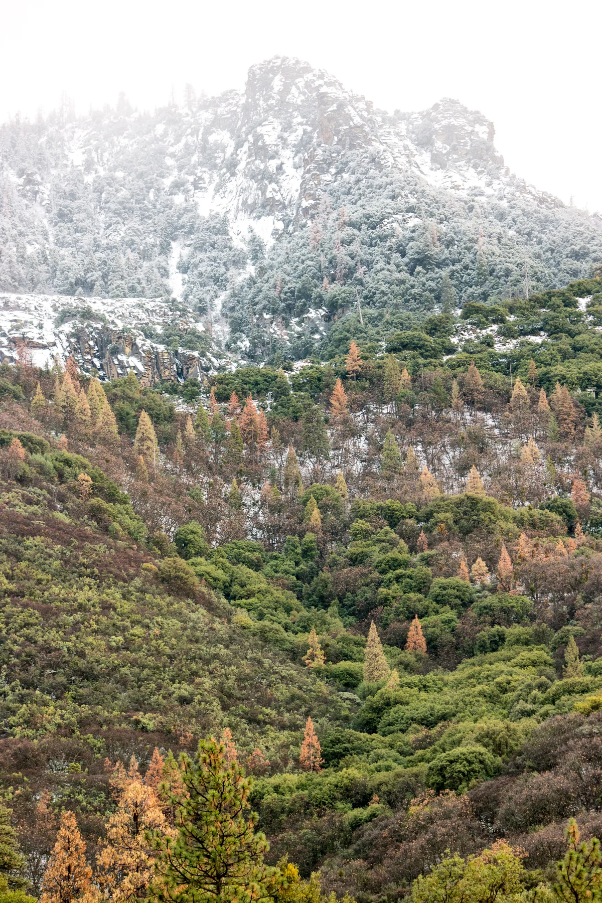 Sequoia National Park California December2015