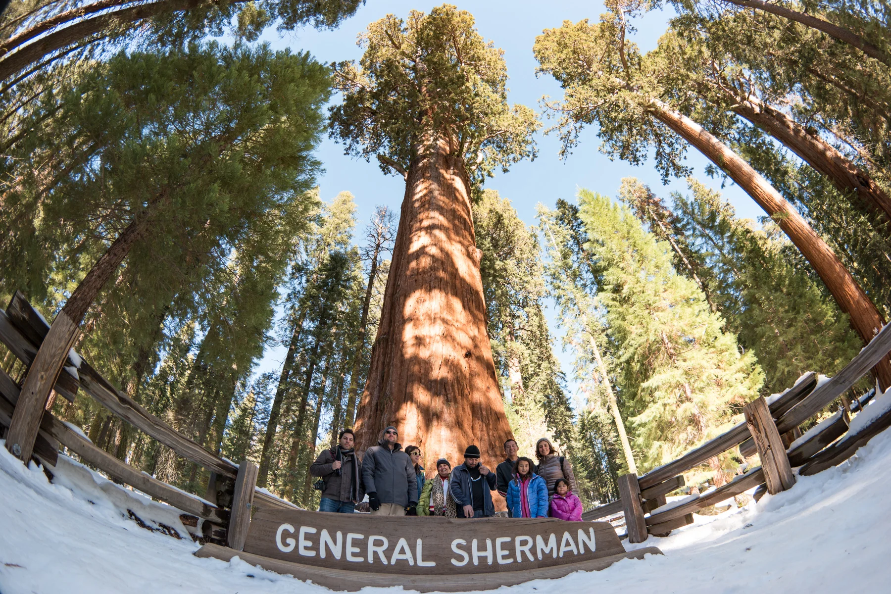 Sequoia National Park California December2015