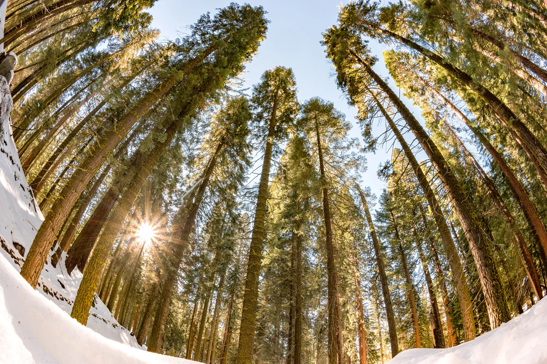 Sequoia National Park California December2015
