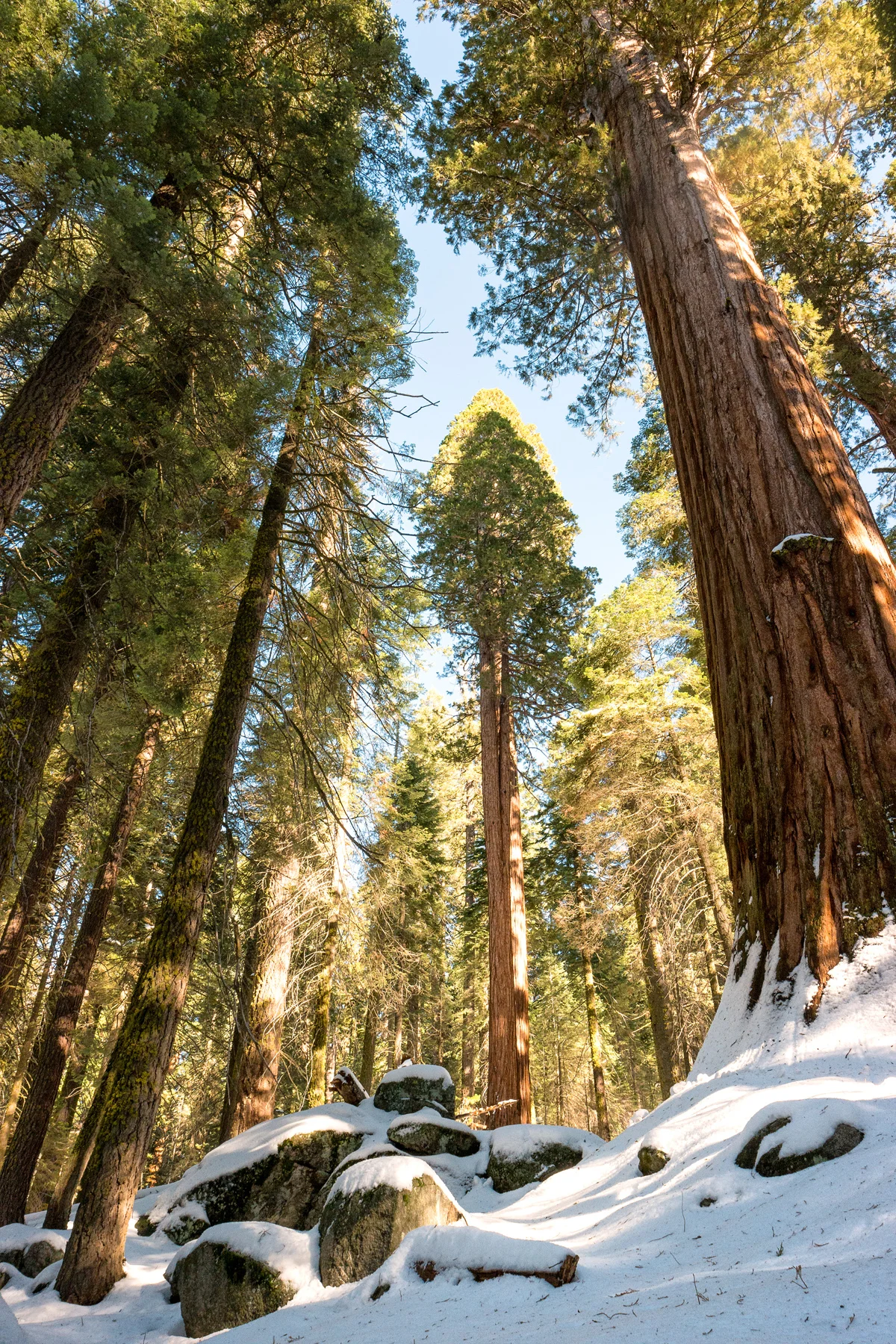 Sequoia National Park California December2015
