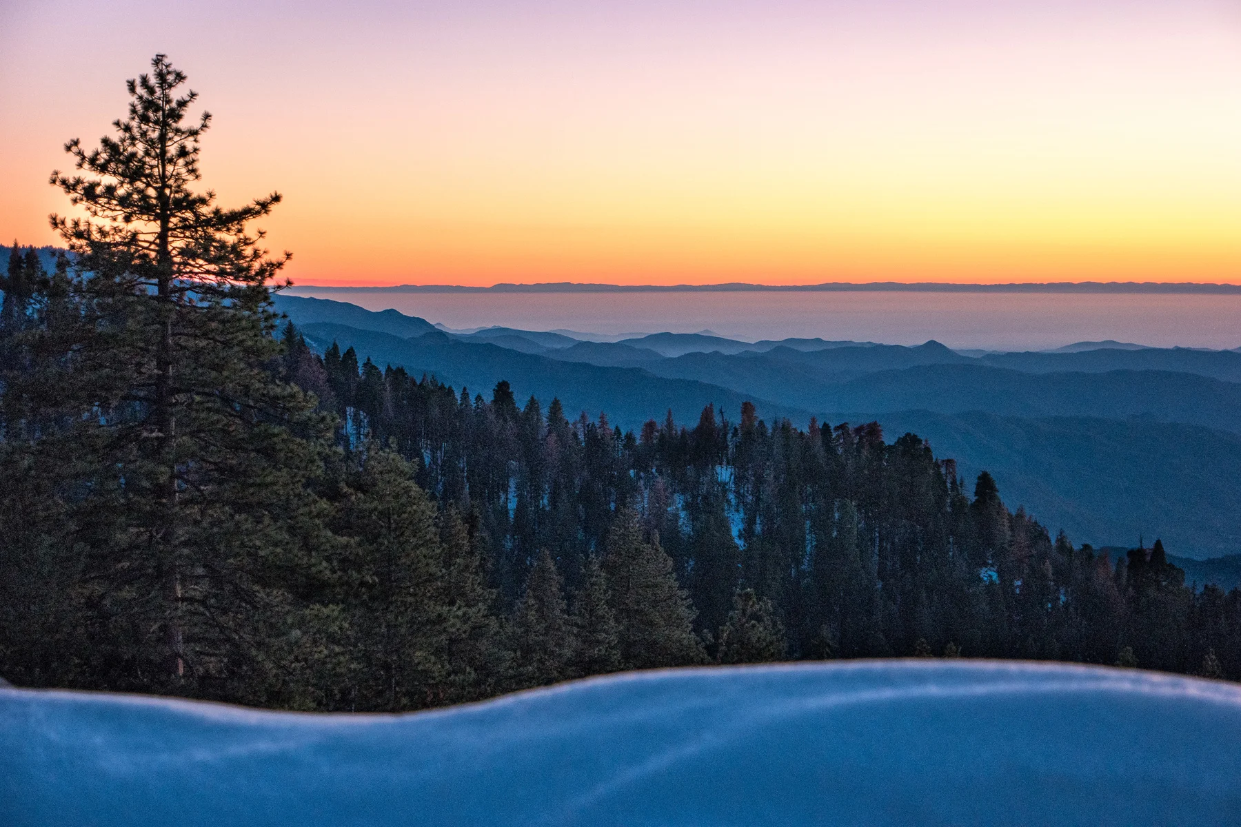 Sequoia National Park California December2015