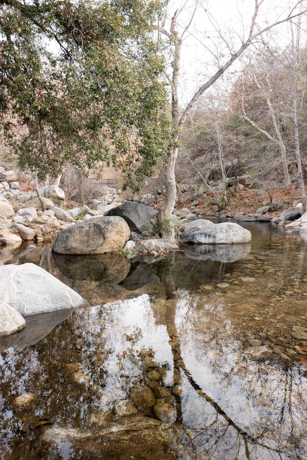 Sequoia National Park California December2015
