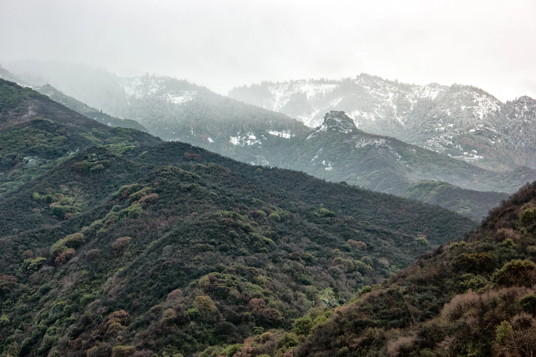 Sequoia National Park California December2015