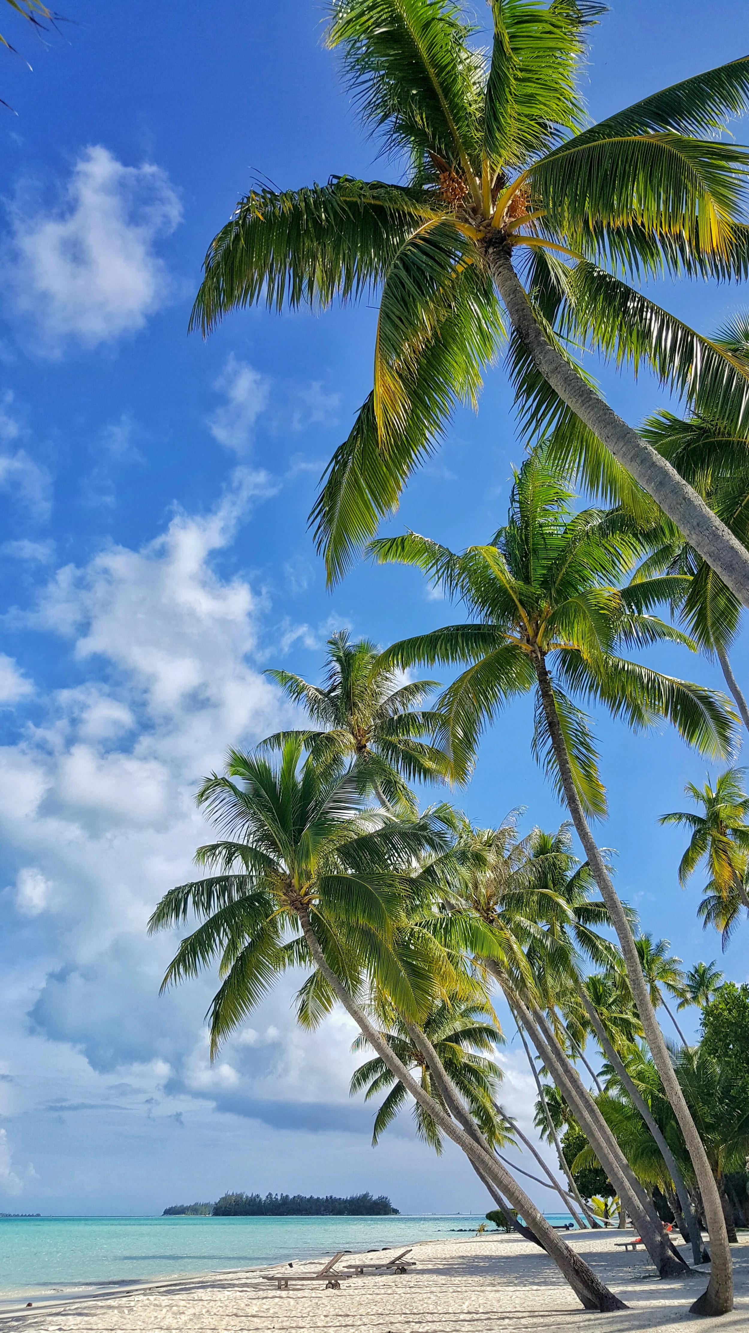 Tahiti French Polynesia Bora Bora Background1
